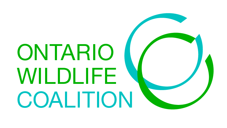 top 28 wildlife coalition top 28 wildlife coalition top 28 wildlife coalition top 28 wildlife coalition