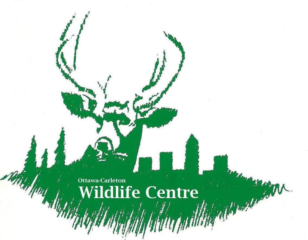 ottawa carleton wildlife centre unpublished ottawa ottawa carleton wildlife centre unpublished ottawa